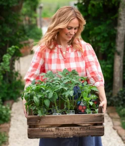 Dehner Gourmet Garten Tomatenpaprika