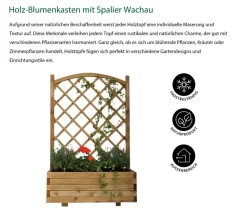 Dehner Holz-Blumenkasten mit Spalier Wachau, B90/H140/T40 cm