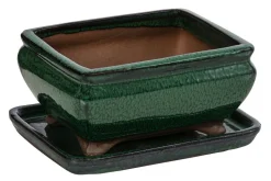 Dehner Keramik-Bonsaischale, rechteckig, ca. B15/H6,5/T11 cm