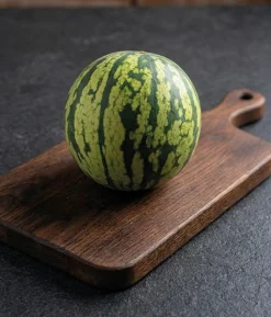 Dehner Premium Samen Mini-Wassermelone 'Tigrimini'