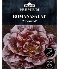 Dehner Premium Samen Romanasalat 'Moonred'
