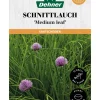 Dehner Saatscheiben Schnittlauch 'Medium leaf', 3 Stück à Ø 8 cm