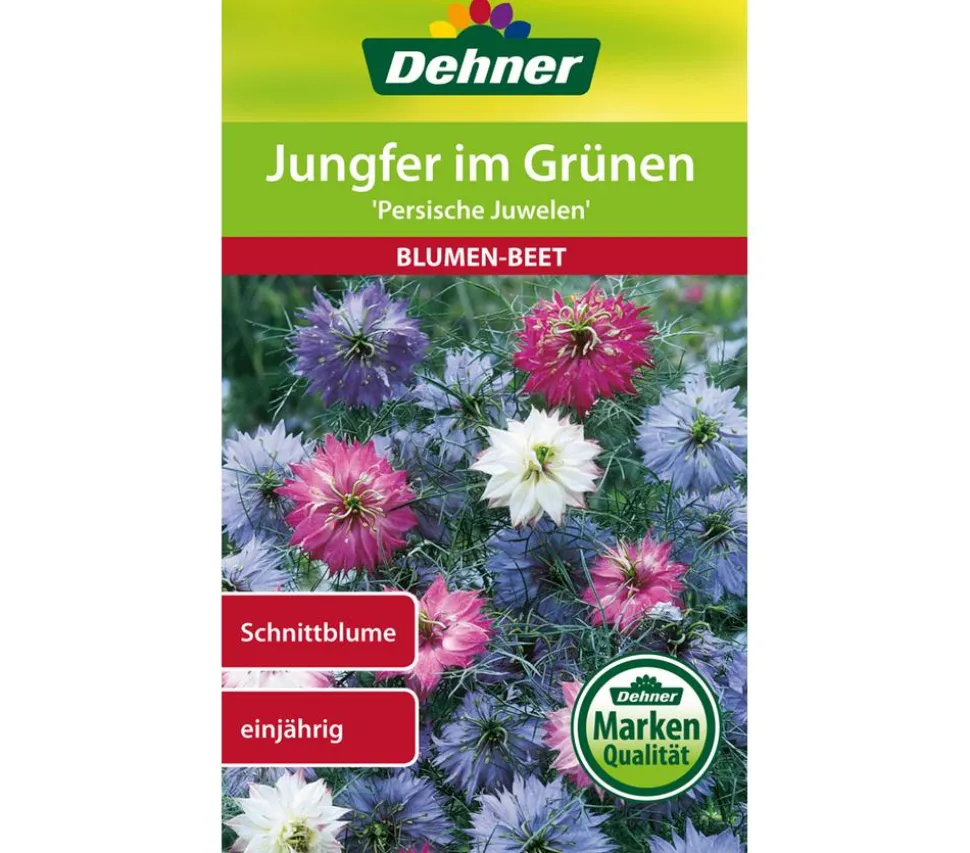 Dehner Samen Jungfer im Grünen 'Persische Juwelen'