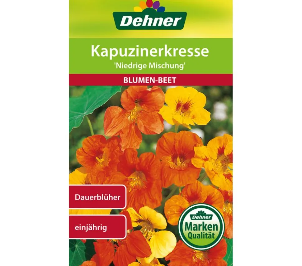 Dehner Samen Kapuzinerkresse 'Niedrige Mischung'