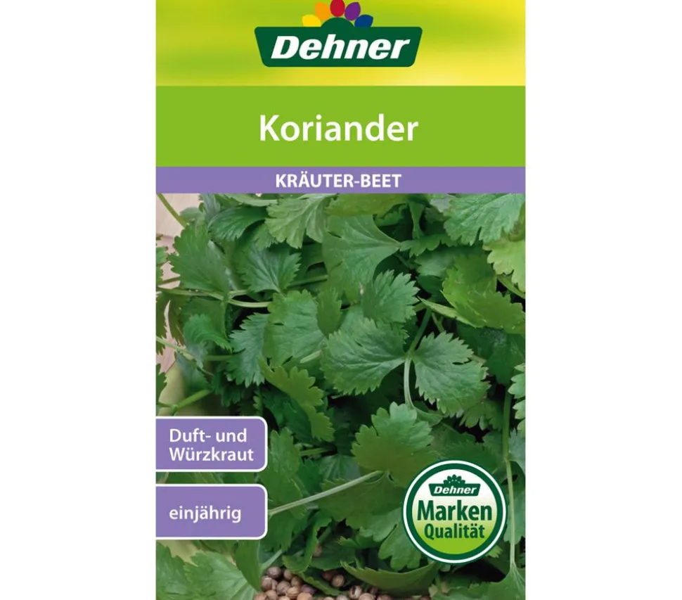 Dehner Samen Koriander