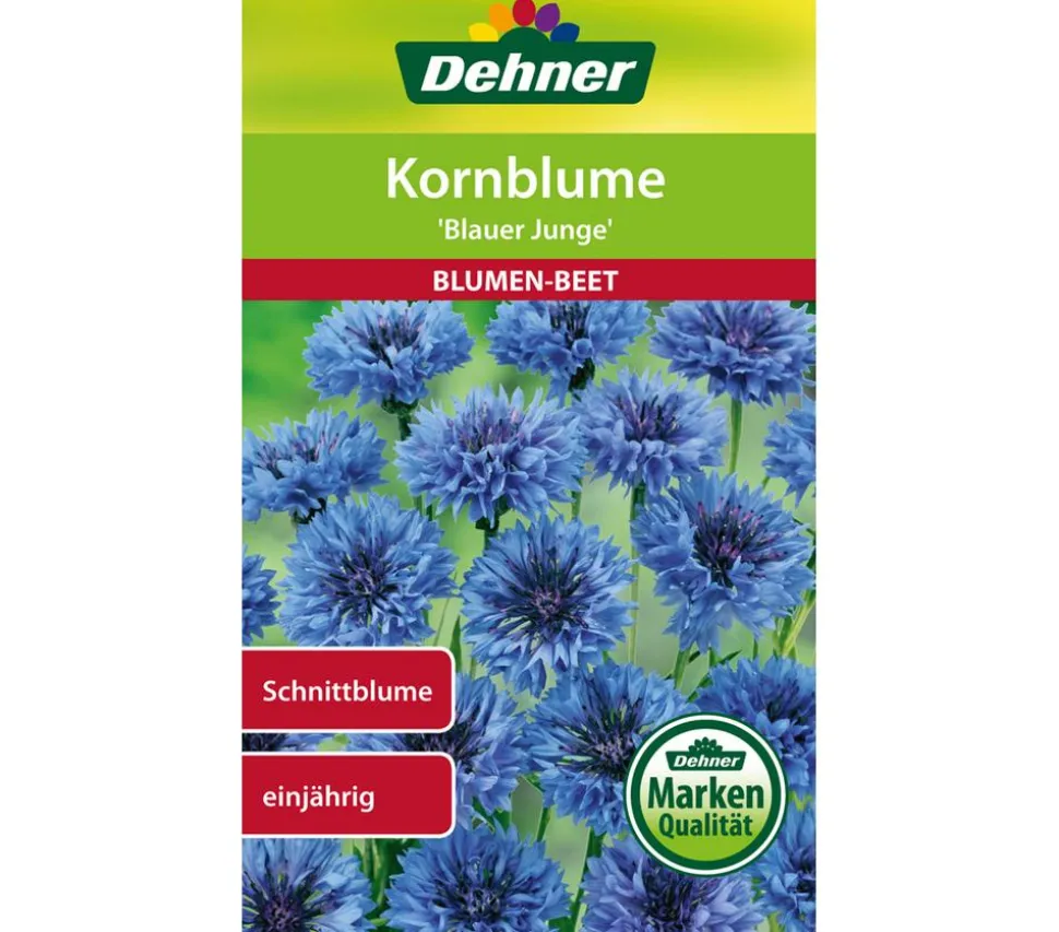 Dehner Samen Kornblume 'Blauer Junge'