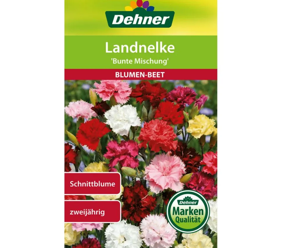 Dehner Samen Landnelke 'Bunte Mischung'