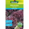 Dehner Samen Pflücksalat 'Lollo rossa'