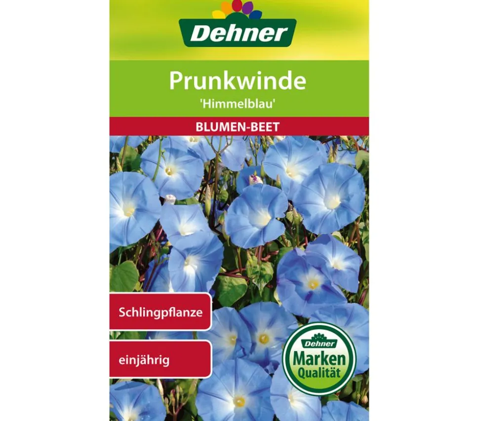 Dehner Samen Prunkwinde 'Himmelblau'