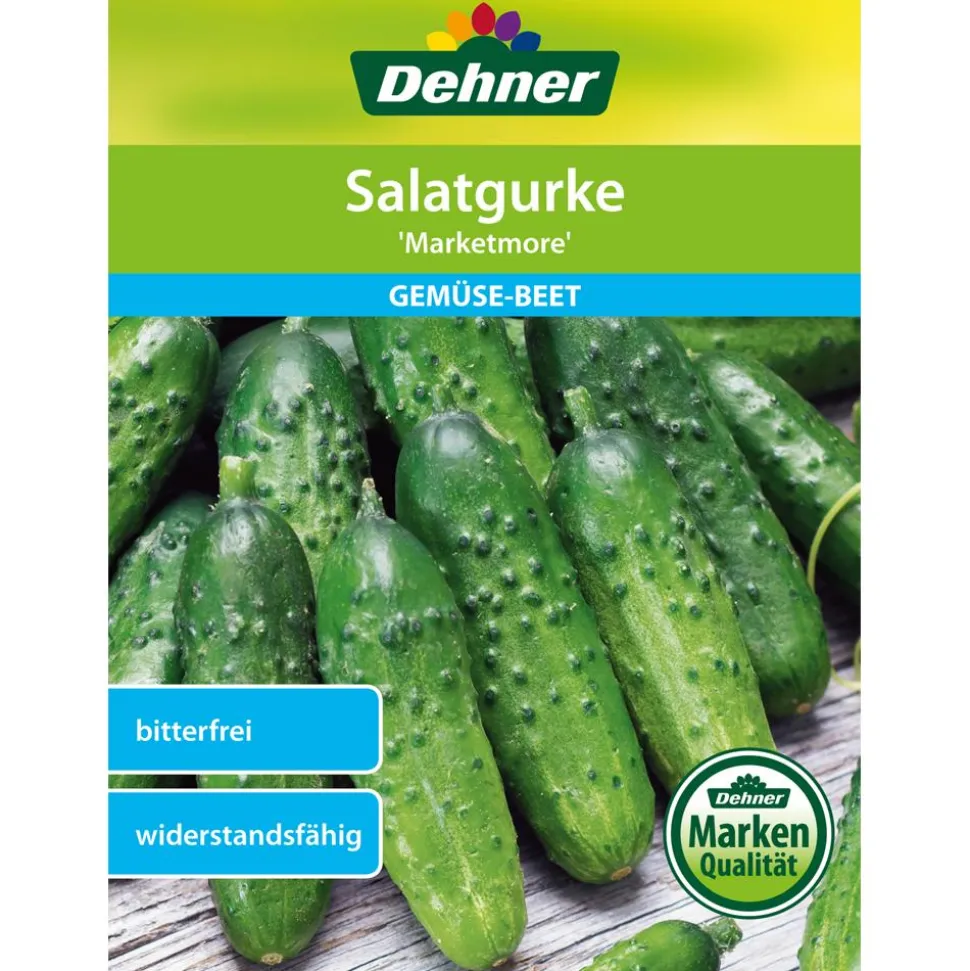 Dehner Samen Salatgurke 'Marketmore'