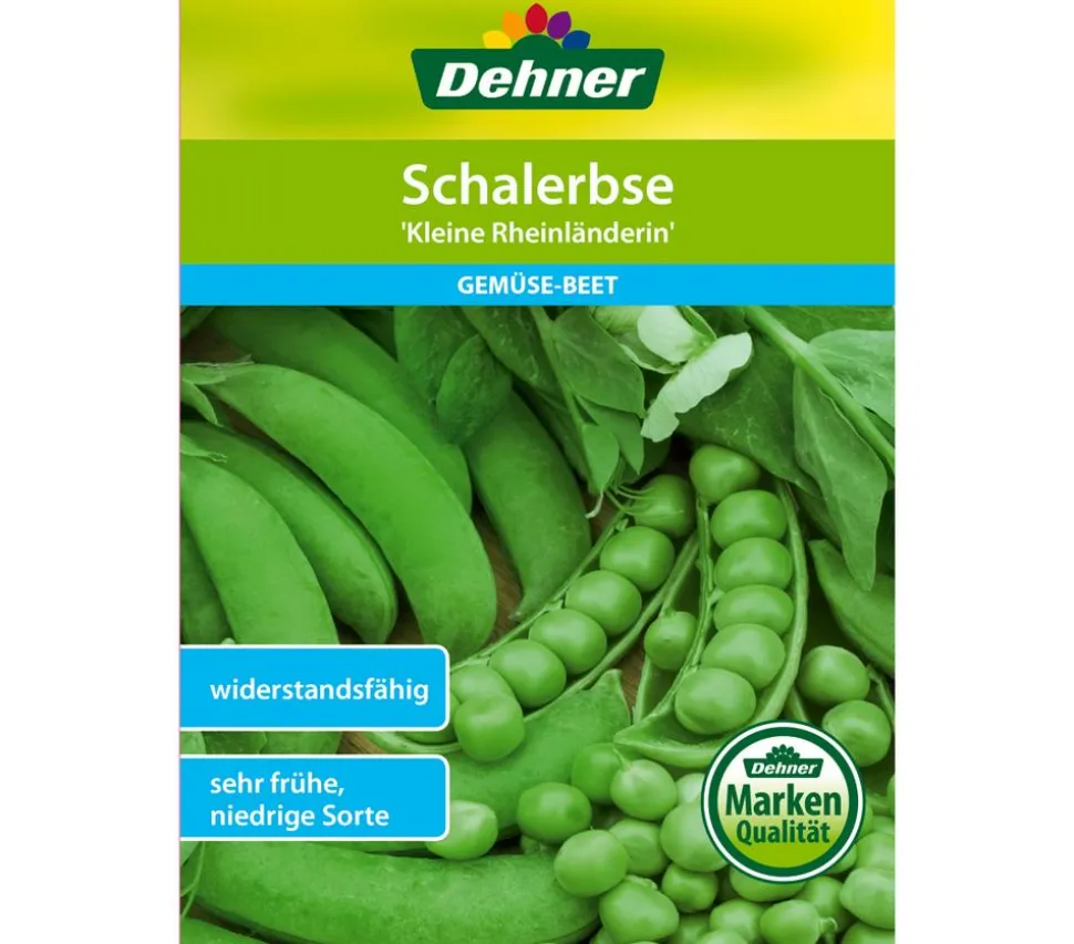 Dehner Samen Schalerbse 'Kleine Rheinländerin'