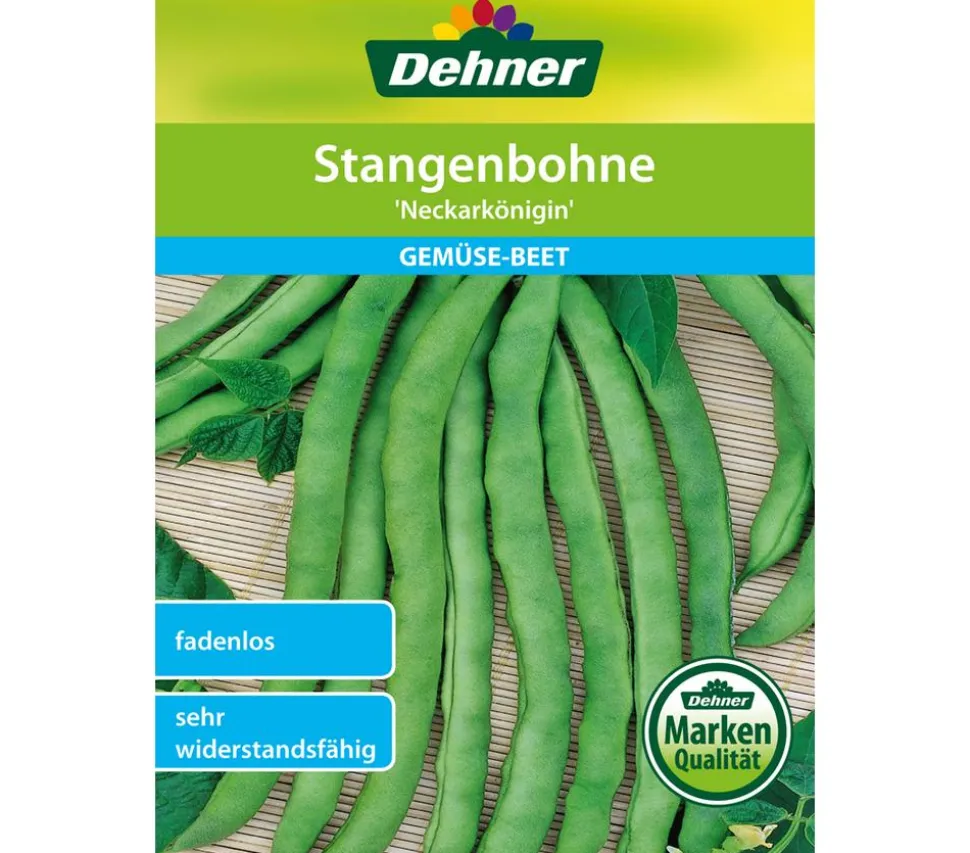 Dehner Samen Stangenbohne 'Neckarkönigin'