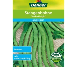 Dehner Samen Stangenbohne 'Neckarkönigin'
