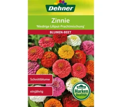 Dehner Samen Zinnie 'Niedrige Liliput Prachtmischung'