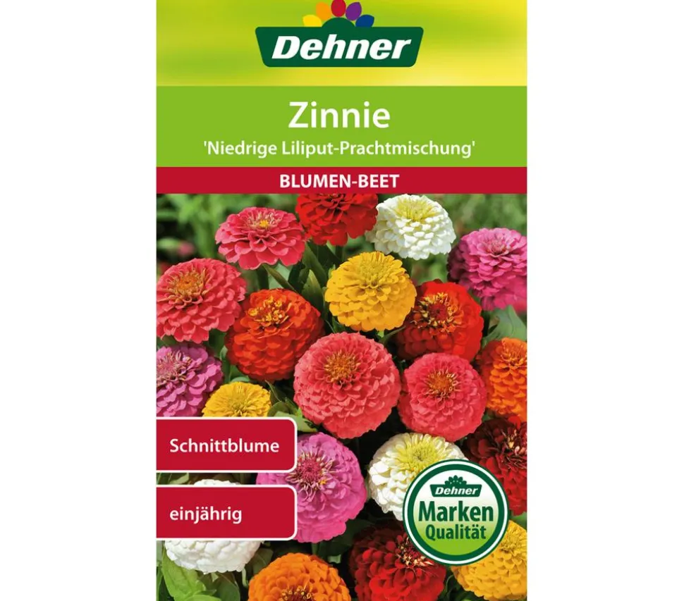 Dehner Samen Zinnie 'Niedrige Liliput Prachtmischung'