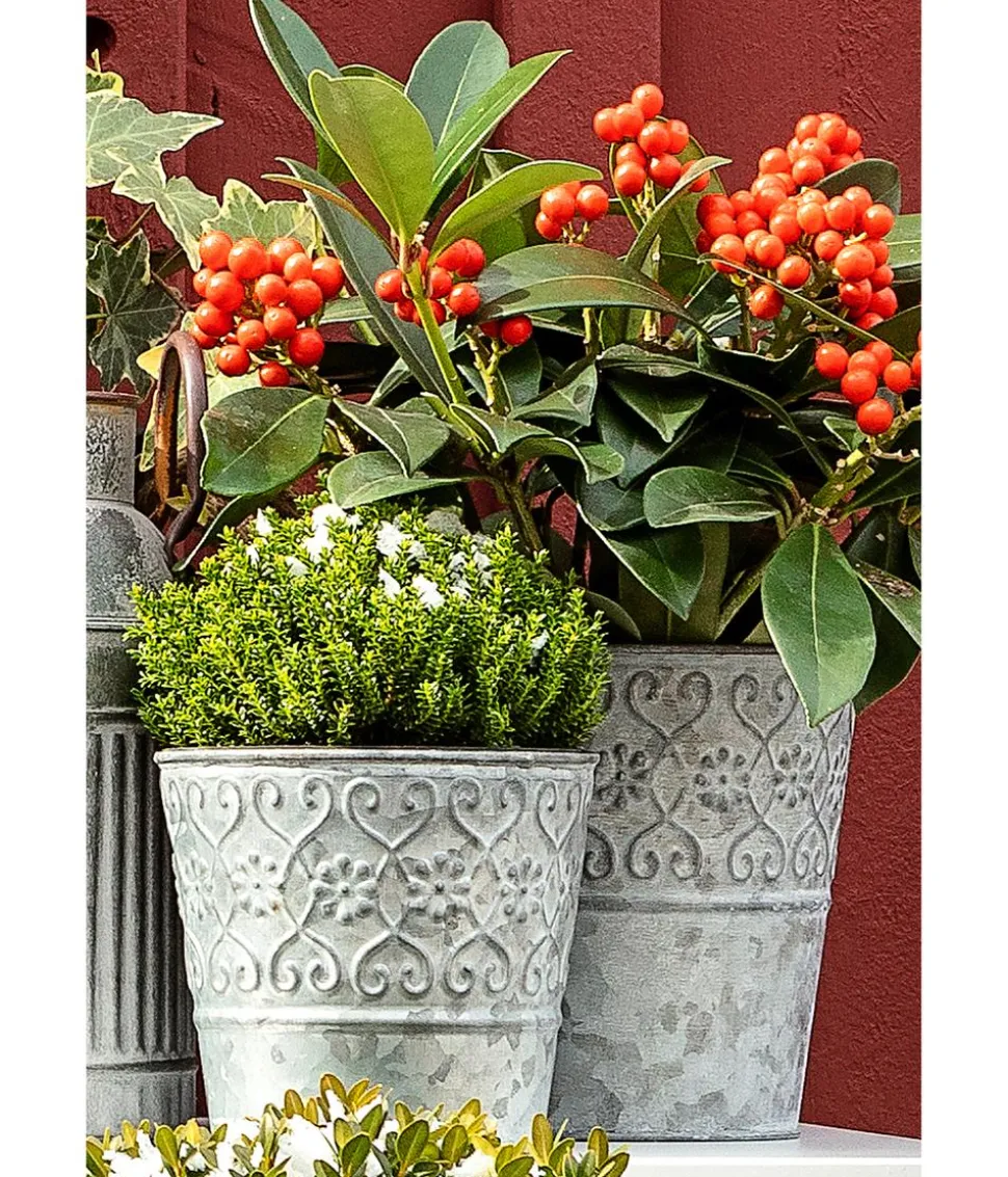 Dehner Zinktopf Ornamente