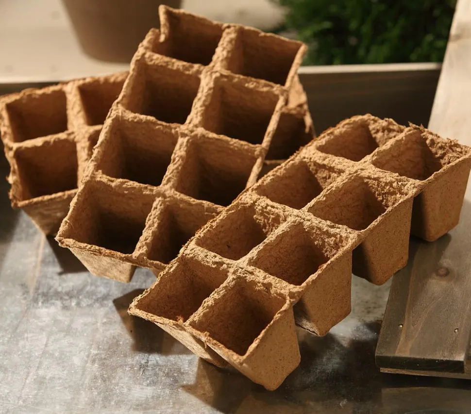 Dehner Anzuchttöpfe für Pflanzen, 6 x 6 cm, 24 Stk.
