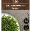Dehner Bio-Keimsprossen 'Brokkoli'