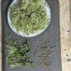 Dehner Bio-Keimsprossen 'Wellness-Mischung'