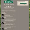 Dehner Bio Nützlingswiese, 250 g