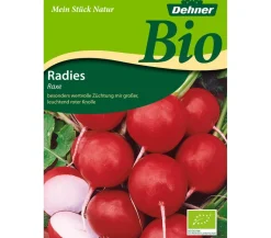 Dehner Bio-Samen Radies 'Raxe'