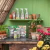 Dehner Bio Zitruspflanzen-Dünger, flüssig, 500 ml