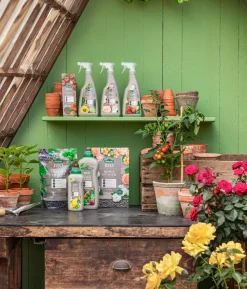 Dehner Bio Zitruspflanzen-Dünger, flüssig, 500 ml