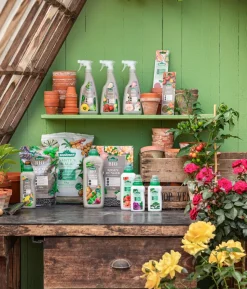 Dehner Bio Zitruspflanzen-Dünger, flüssig, 500 ml