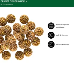 Dehner Düngerkugeln für Zimmerpflanzen, 25 Stück