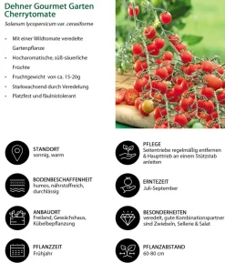 Dehner Gourmet Garten Cherrytomate, veredelt