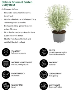 Dehner Gourmet Garten Currykraut