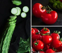 Dehner Gourmet Garten Gemüse-Set Kleiner Balkon, 3-teilig