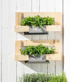 Dehner Gourmet Garten Marokkanische Minze