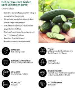 Dehner Gourmet Garten Mini Schlangengurke, veredelt