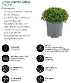 Dehner Gourmet Garten Oregano
