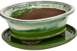 Dehner Keramik-Bonsaischale, oval, hellgrün/beige