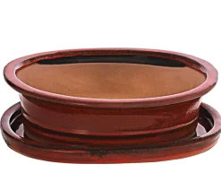 Dehner Keramik-Bonsaischale, oval, rot