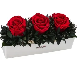 Dehner Keramik-Jardiniere mit Longlife-Rose Elen, rot, ca. B23/H11/T7 cm