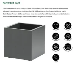 Dehner Kunststoff-Topf Kebe, quadratisch, ca. B40/H40/T40 cm