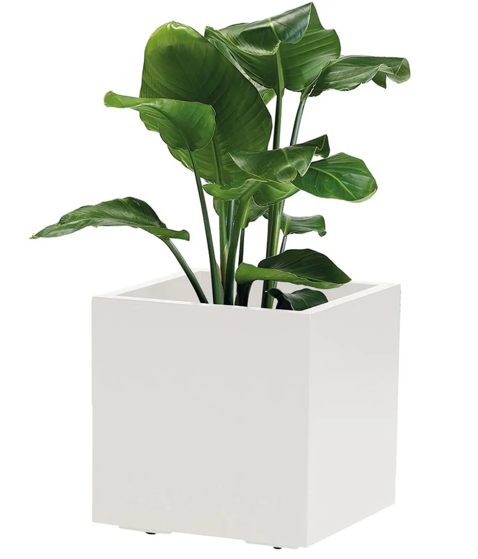 Dehner Kunststoff-Topf Kebe, quadratisch, ca. B40/H40/T40 cm