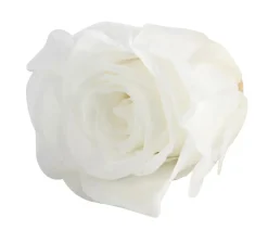 Dehner Longlife-Rose, ca. Ø3 cm