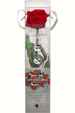Dehner Longlife-Rose mit Stiel, rot