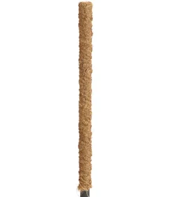 Dehner Moosstab