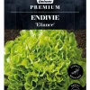 Dehner Premium Samen Endivie 'Eliance'