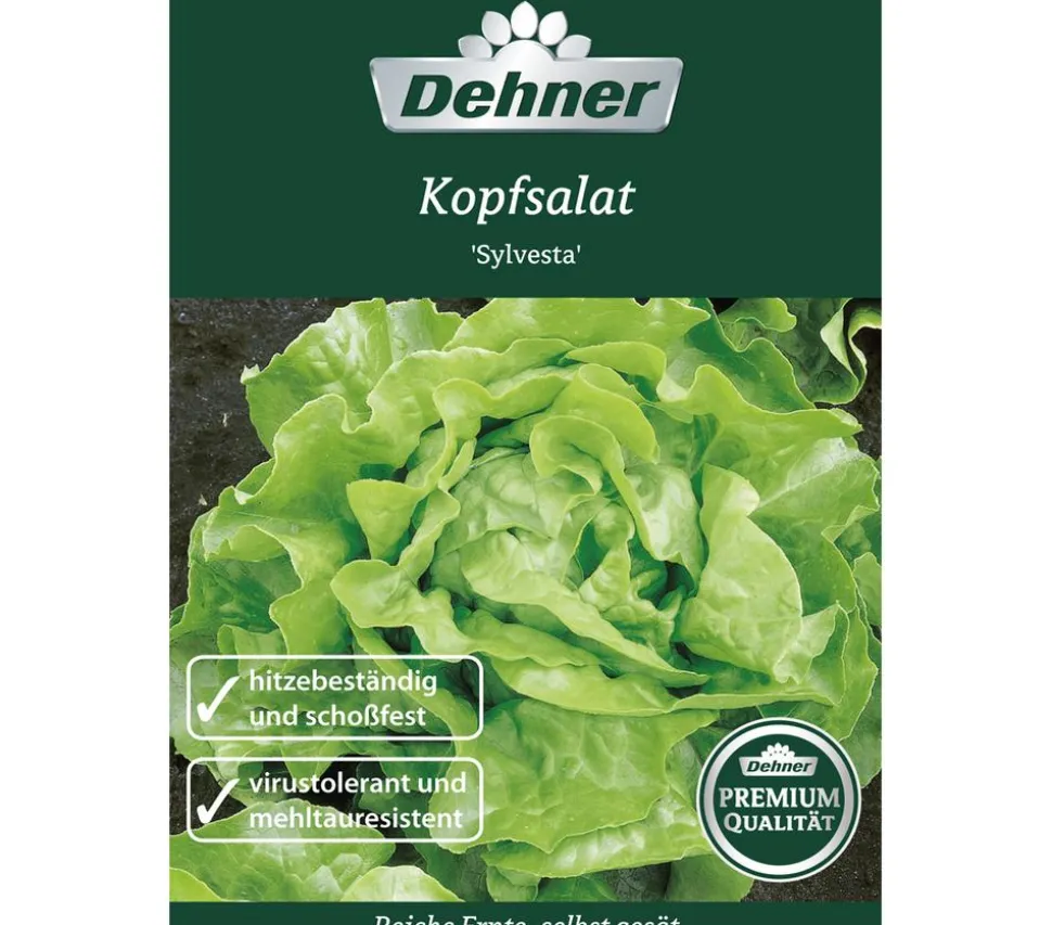 Dehner Premium Samen Kopfsalat 'Sylvesta'