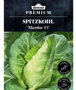 Dehner Premium Samen Spitzkohl 'Murdoc F1'