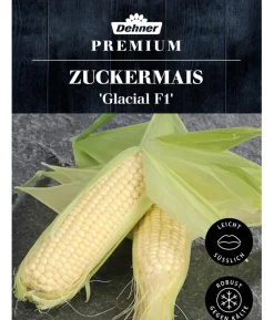 Dehner Premium Samen Zuckermais 'Glacial F1'