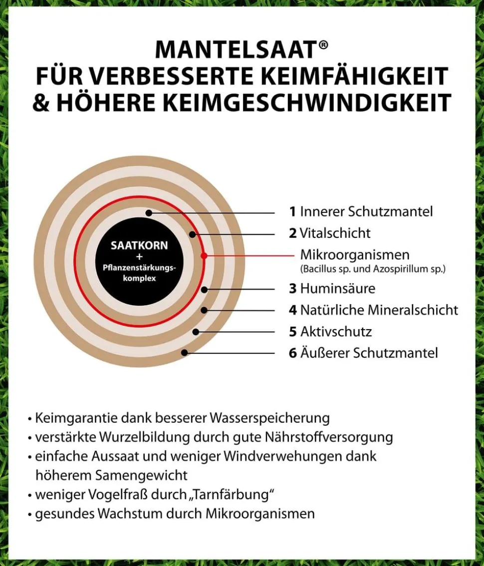 Dehner Rasen-Nachsaat
