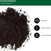 Dehner Rhododendronerde, 57 x 40 Liter