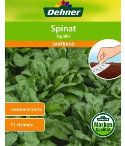 Dehner Saatband Spinat 'Apollo', 5 m